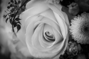 20150509_094647220_iOS